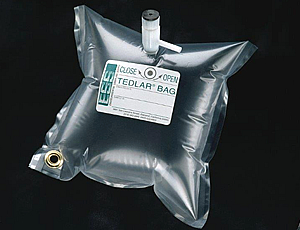 Tedlar(R)/ Gas Sampling Bags Archives - ESS Vial ESS Vial